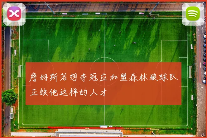 詹姆斯若想夺冠应加盟森林狼球队正缺他这样的人才